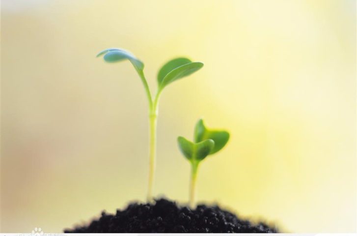 b7fd5266d0160924aa6242bcdc0735fae7cd34d5