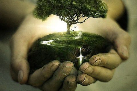 【BBC纪录片】【百度网盘】生命（Life.2009）