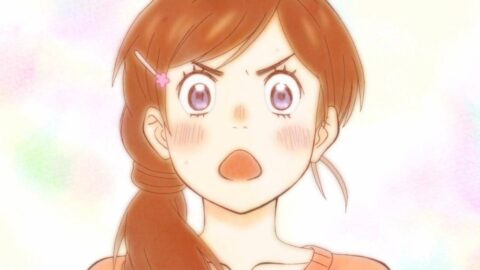 [动漫区][羽海野千花][三月的狮子][一。二季]