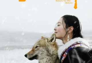 【重返狼群】纪录片